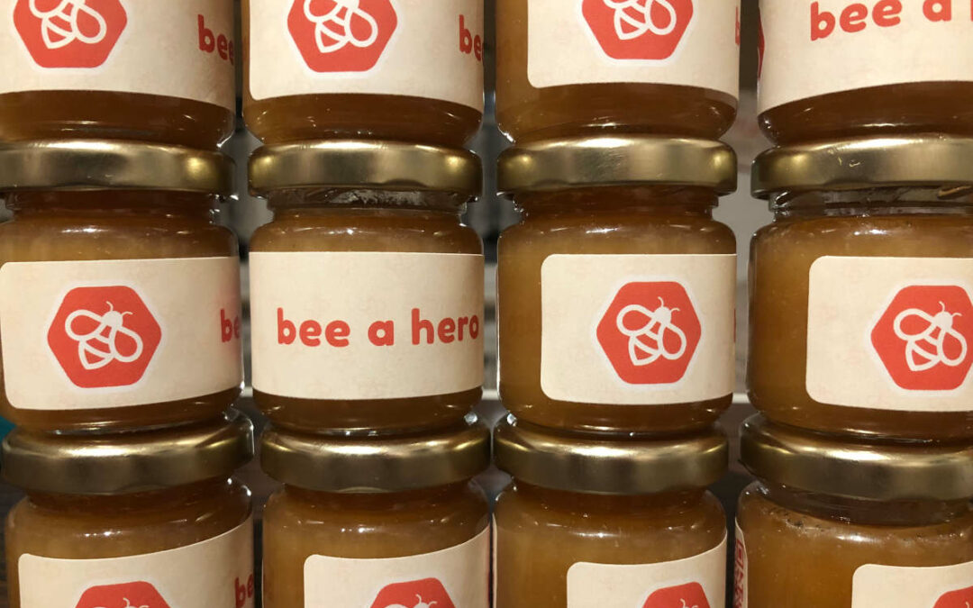 Honigernte und Honiggewinnung